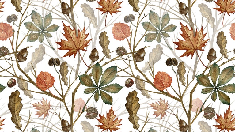 leaves, branches, seeds in autumnal orange, brown and green colours